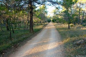 Photo 273944
