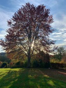 Photo 636769